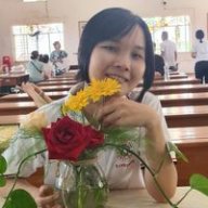 Dang Thi Hong Tham
